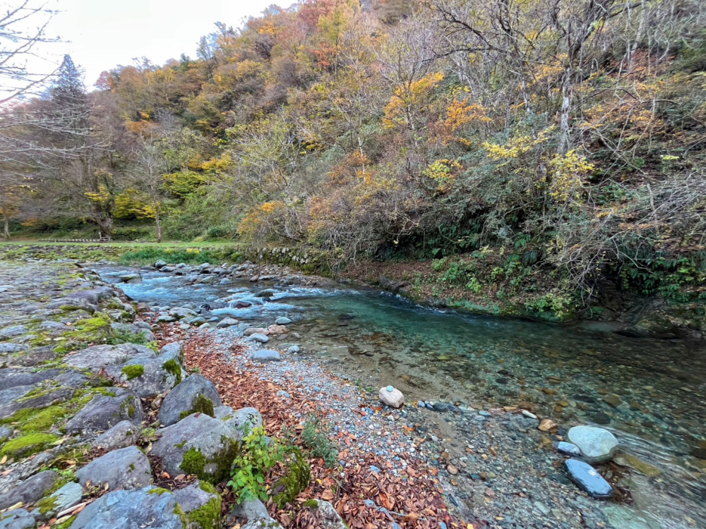 石川秋の絶景4選│紅葉・コスモスなどノスタルジー感じる自然ふれあい旅