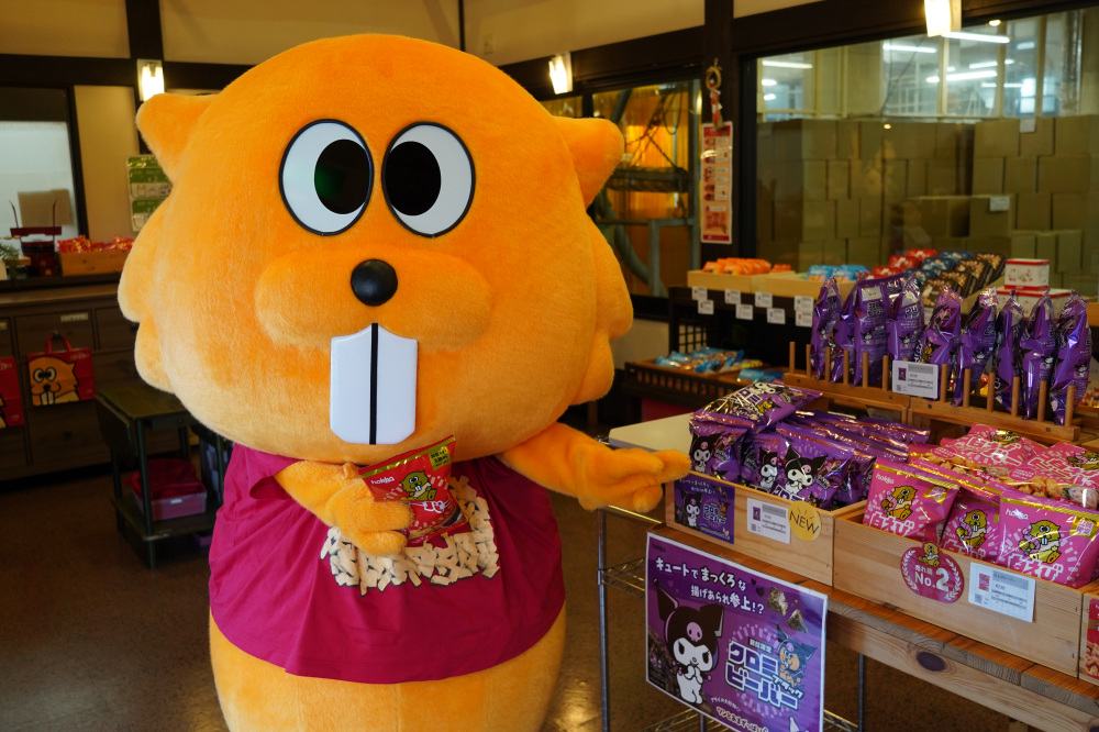お菓子のビーバーが全国で話題!石川県・北陸製菓の本社で人気の秘密を体感