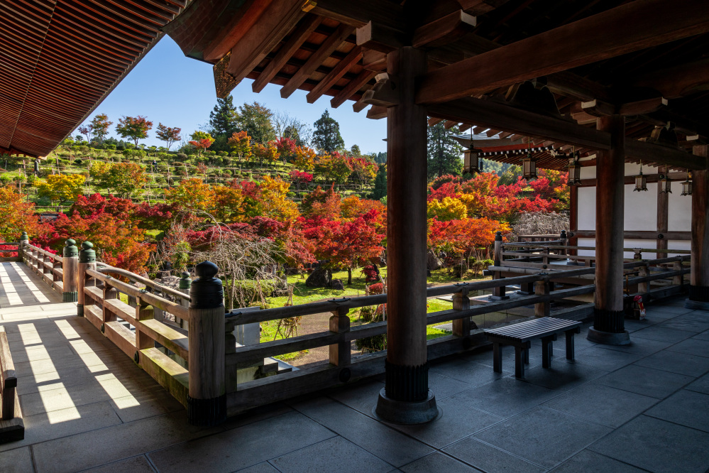 倶利伽羅不動寺