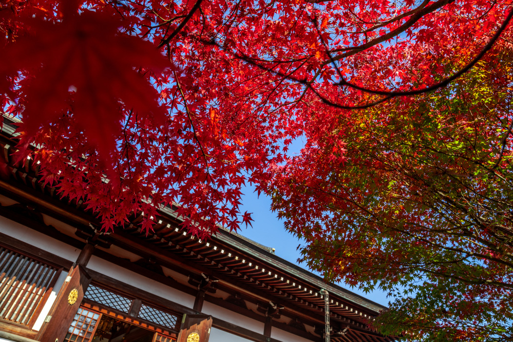 倶利伽羅不動寺