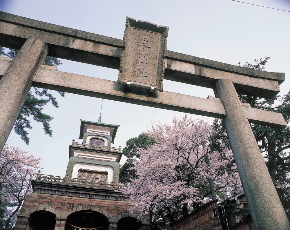 尾山神社（春）