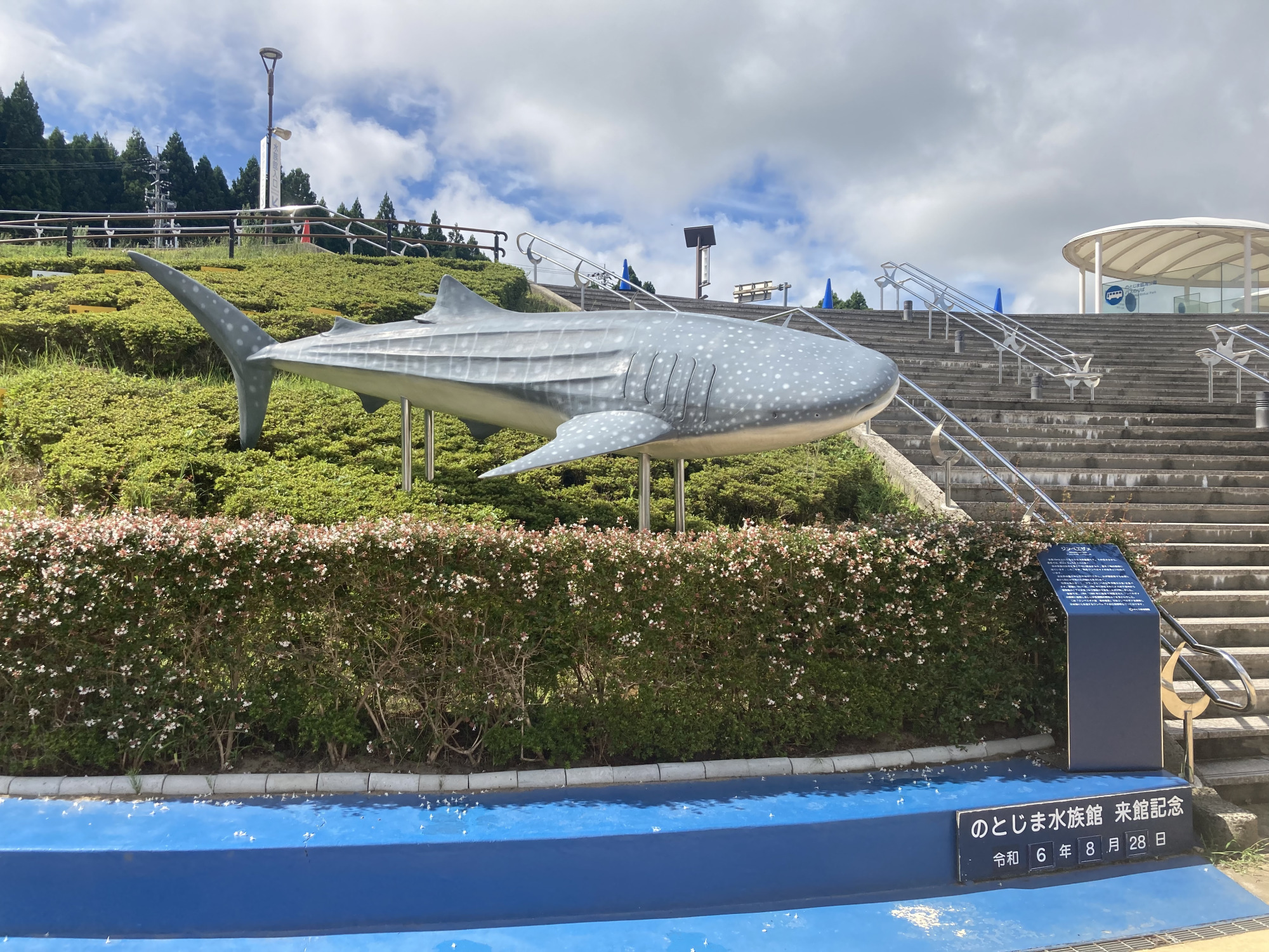 【のとじま水族館の今】復興への希望を紡ぐ～能登で歩む人々にインタビュー～（のとじま水族館　竹山裕子さん）