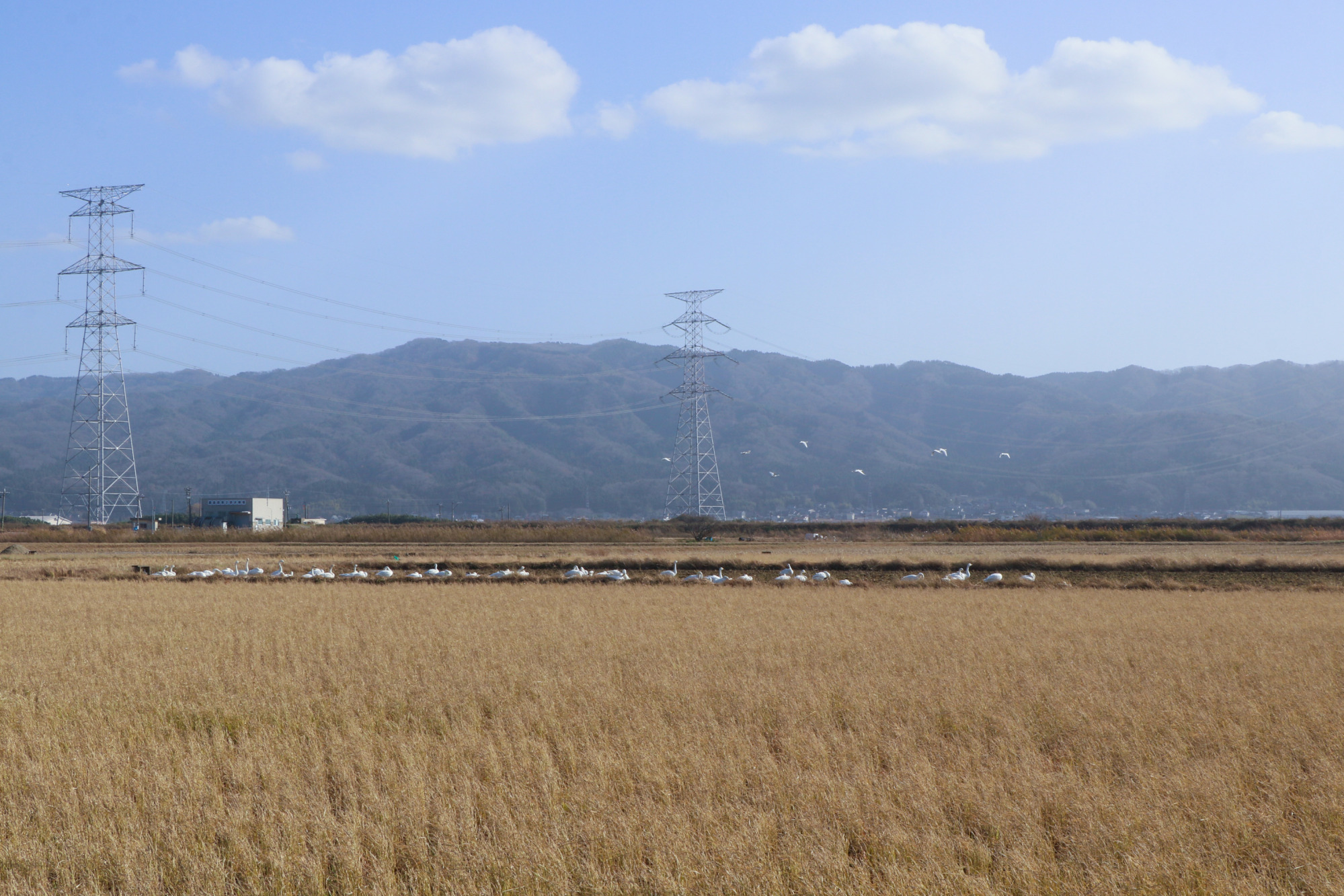 （撮影日）2023年12月