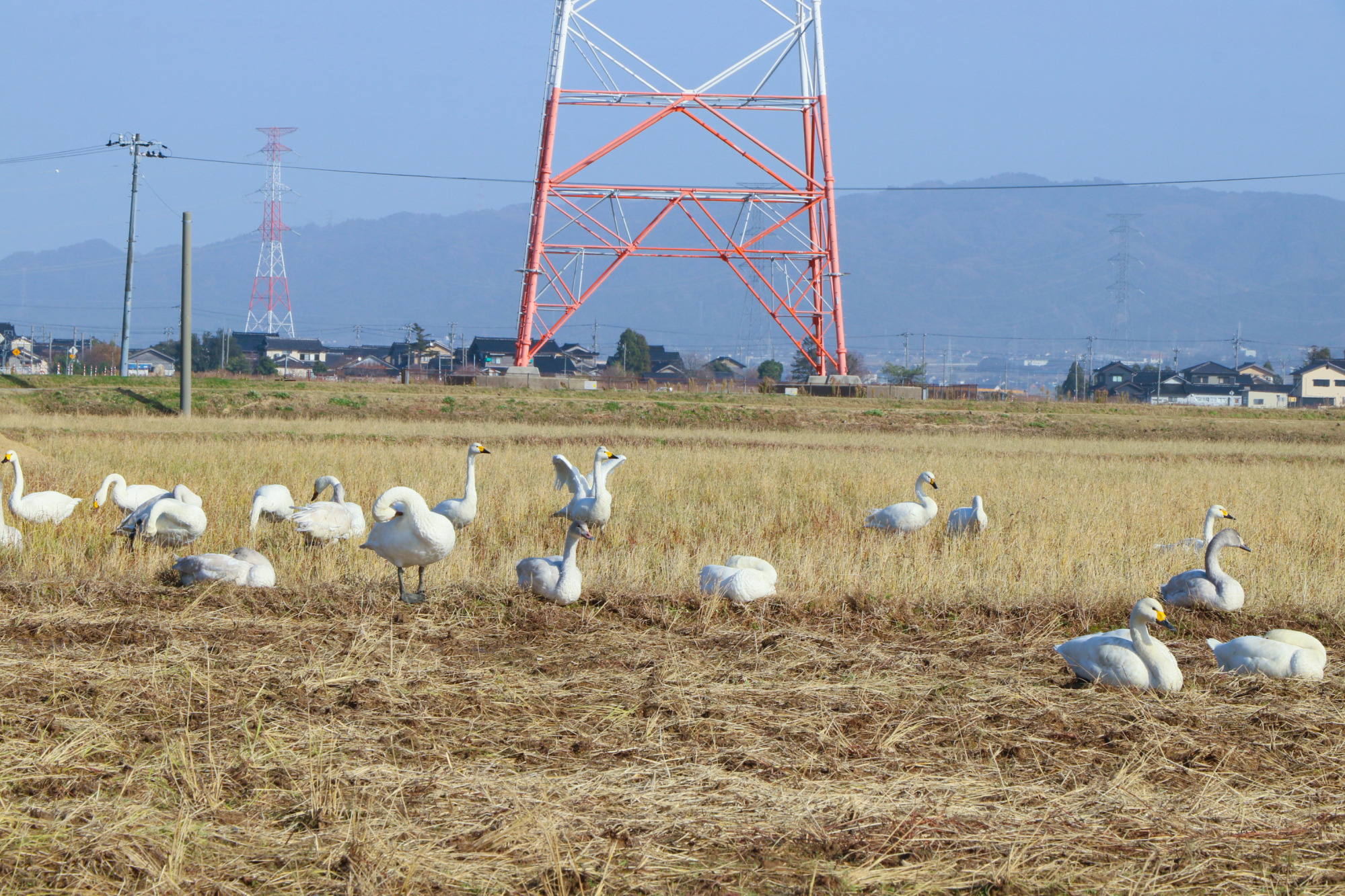 （撮影日）2023年12月