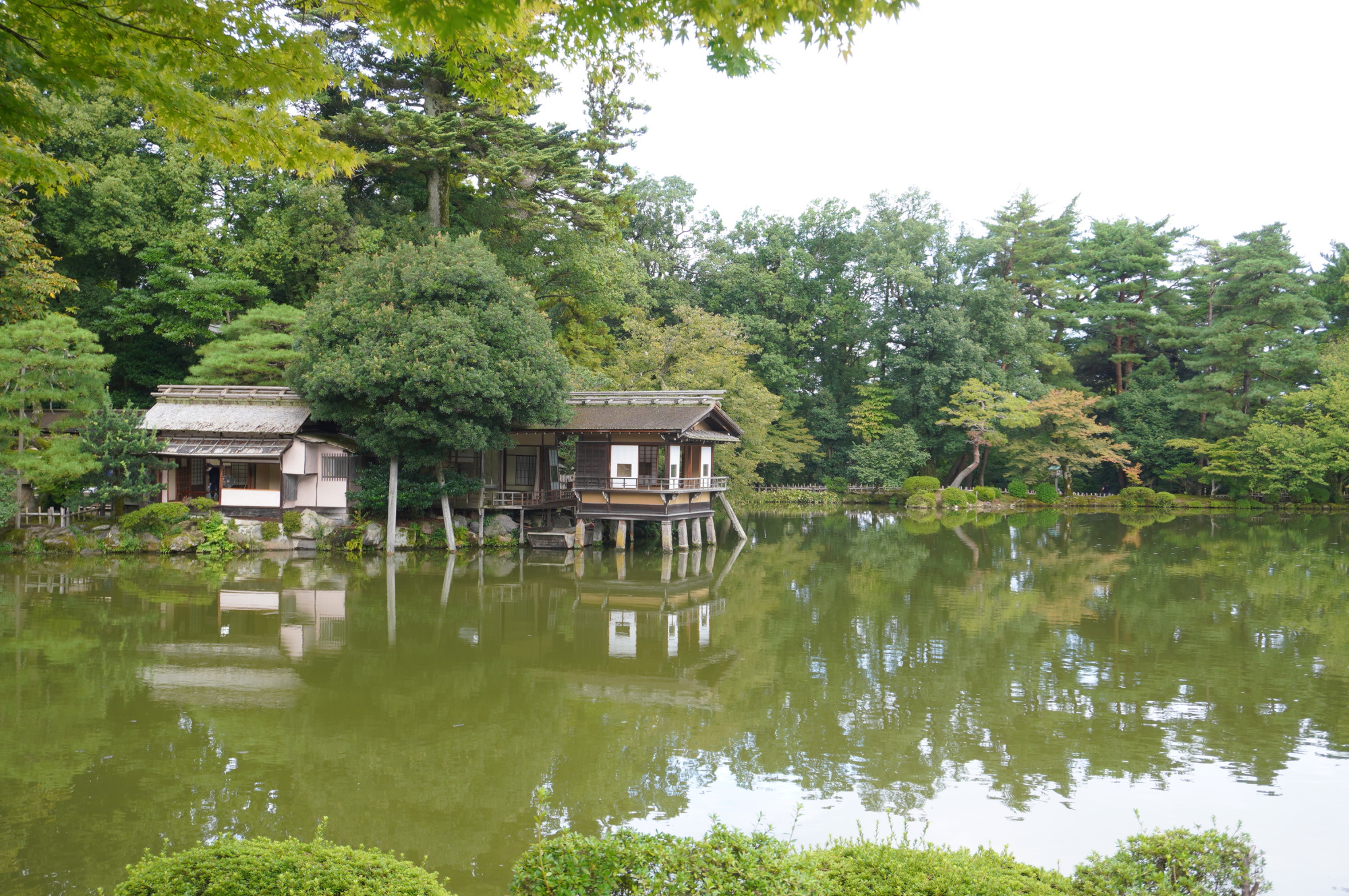 兼六園の見どころ・歴史を徹底解説｜散策に便利なマップ付