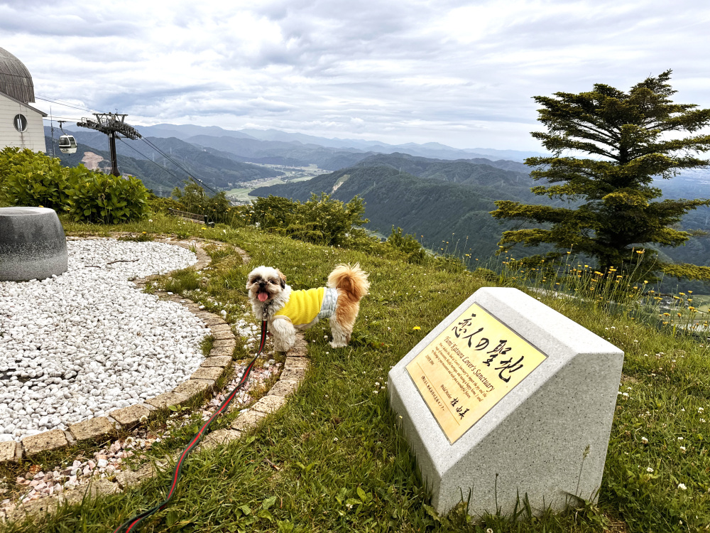 愛犬と石川ドライブ旅!ペットと泊まれる宿と周辺スポットを紹介