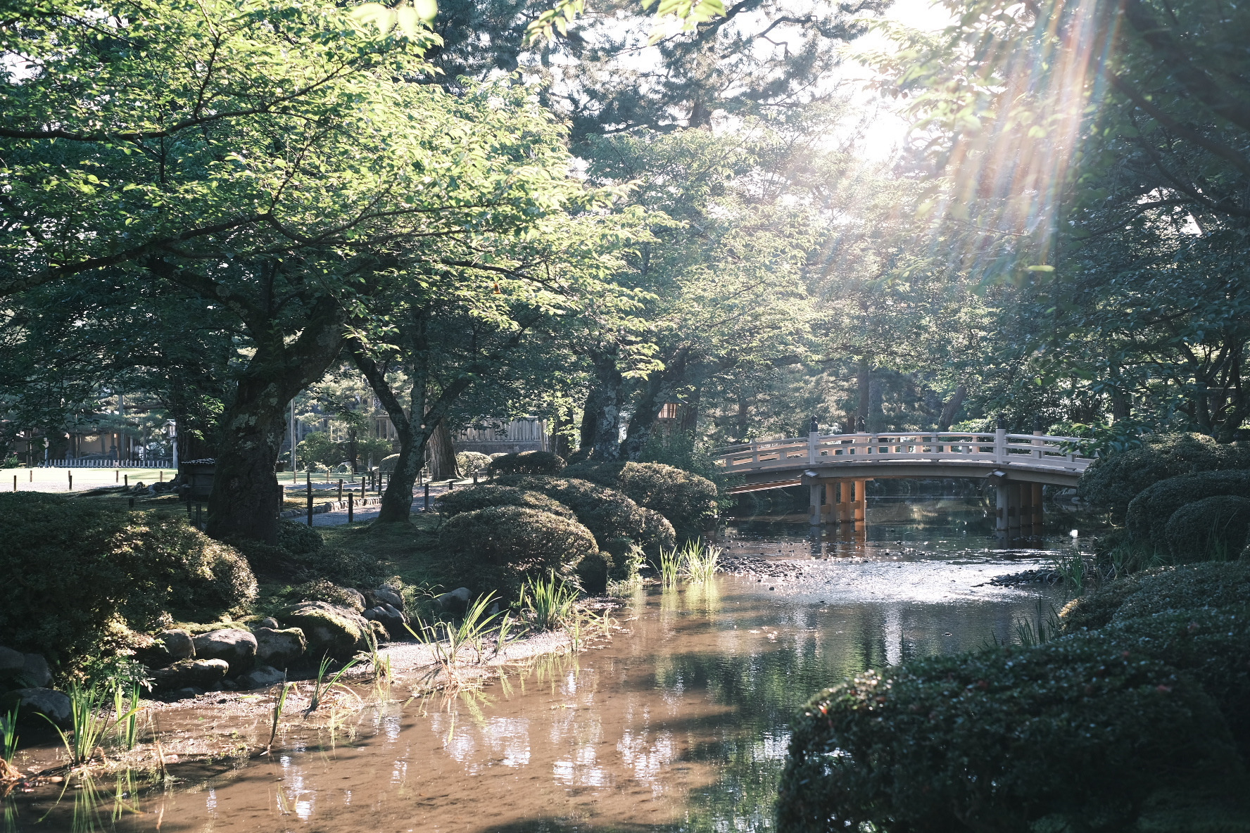 金沢観光｜夏の兼六園は早朝が穴場です