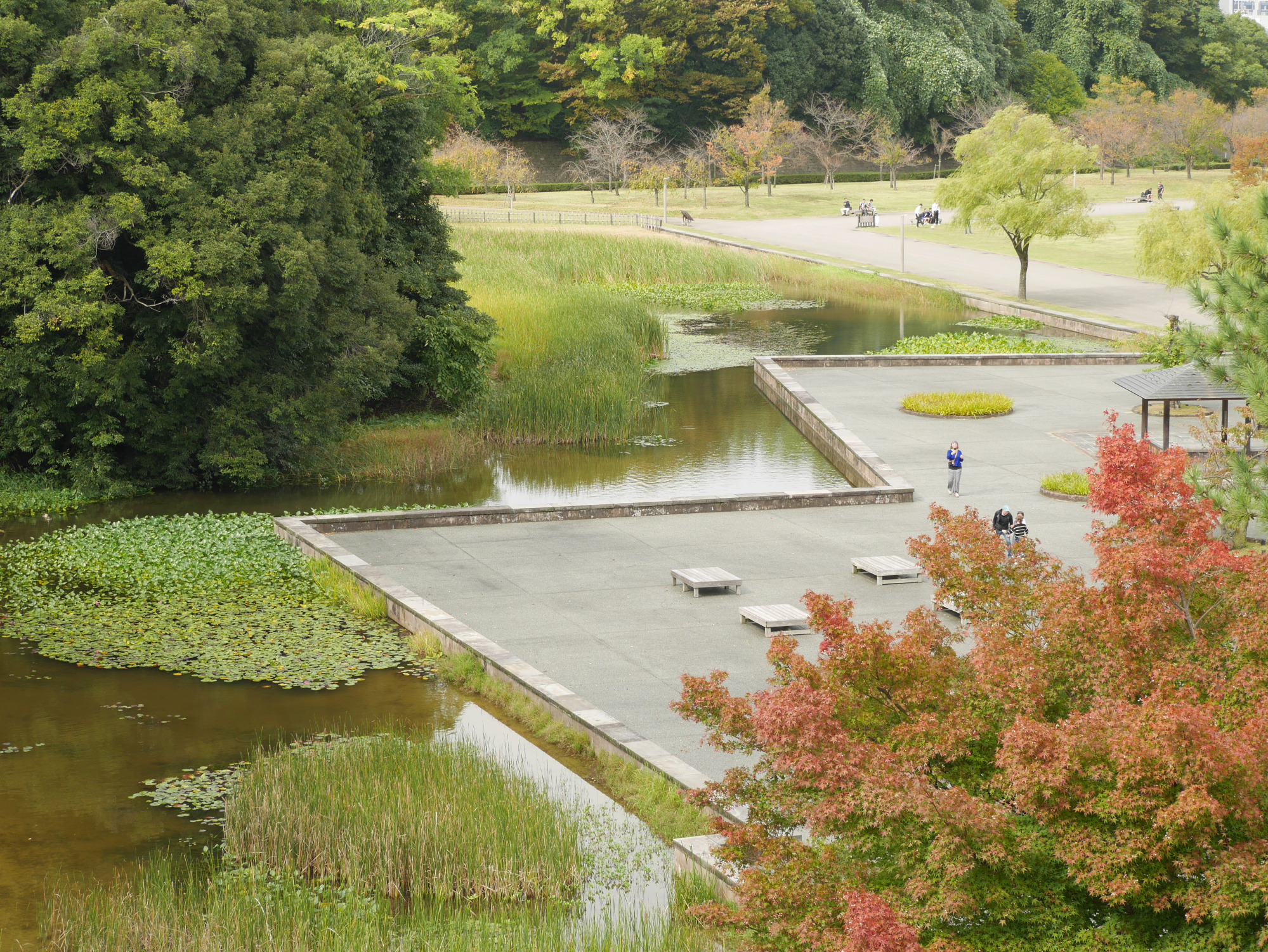 河北門から臨める湿生園