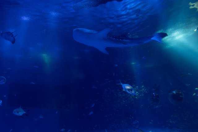 ~石川県×クラブツーリズム×Gakken~ 夏休み自由研究ツアー 「能登で震災を学ぶ旅」