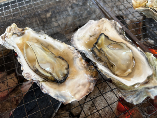 新しい特集記事を公開しました~冬の旅はカキで温まろう~