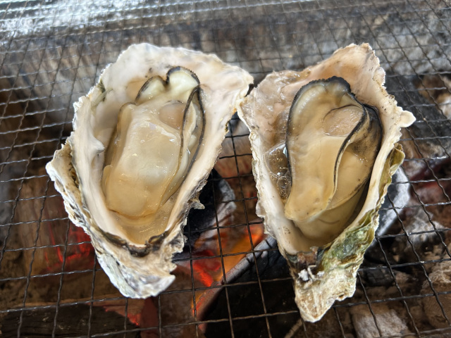 ~冬の旅はカキで温まろう~能登のおすすめカキ店4選!