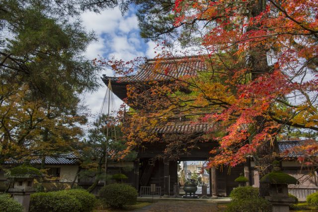 珠姫の寺　天徳院