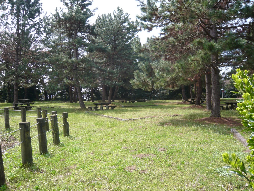 九十九湾園地キャンプ場