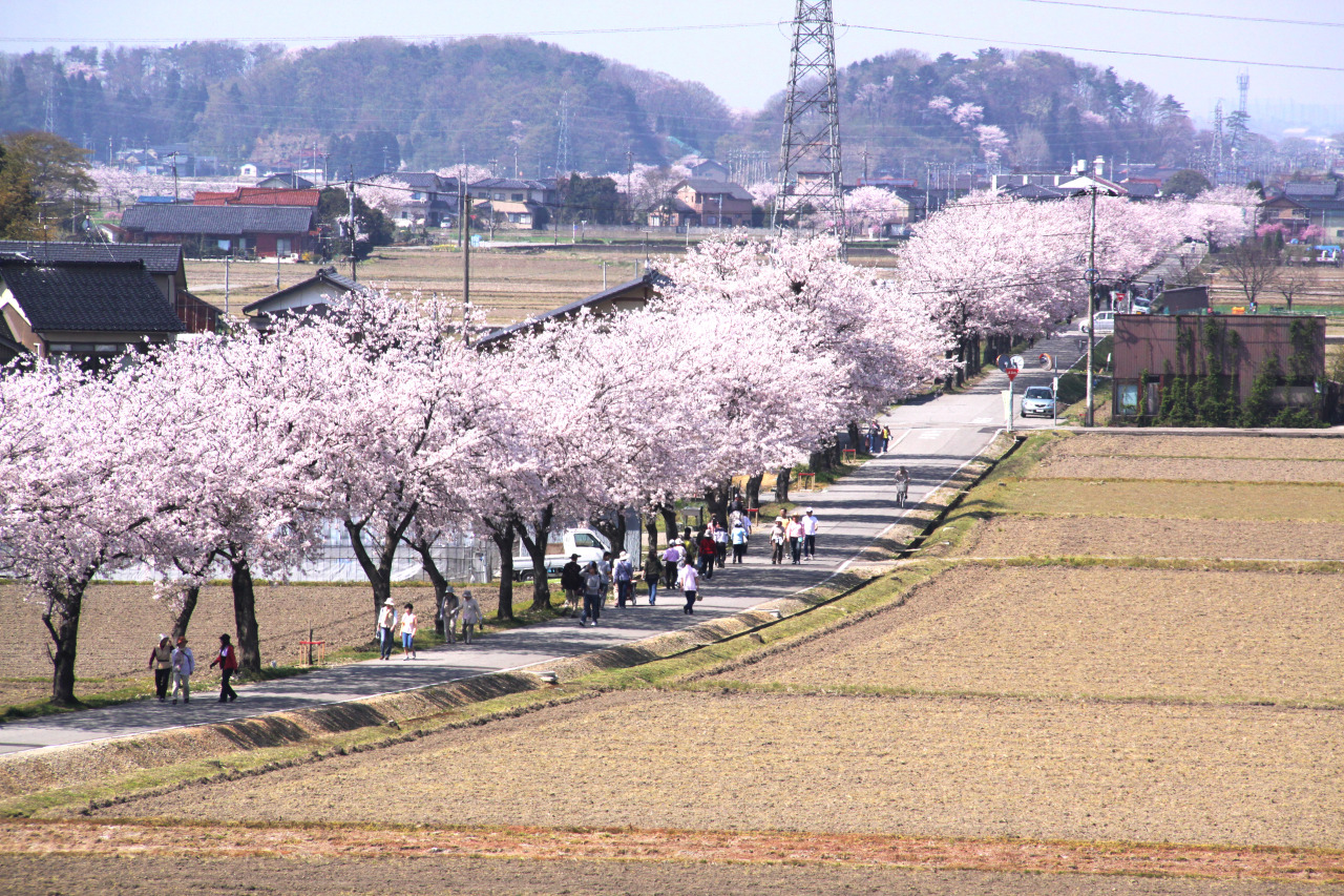 健康ロード(旧北陸鉄道能美線沿線)