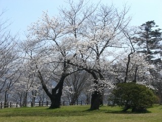 鳳来山公園