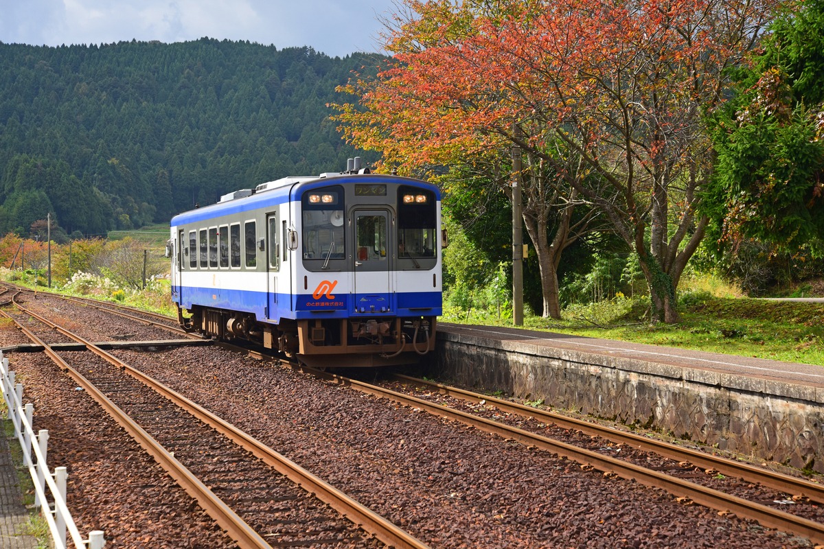 紅葉とのコントラストが美しい車両。