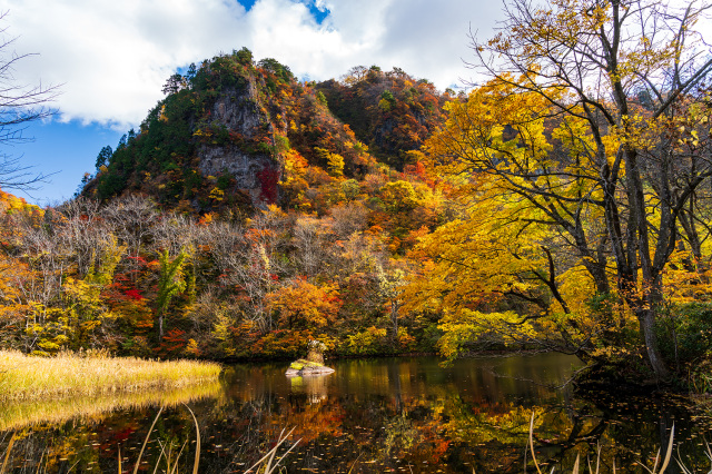 医王山県立自然公園