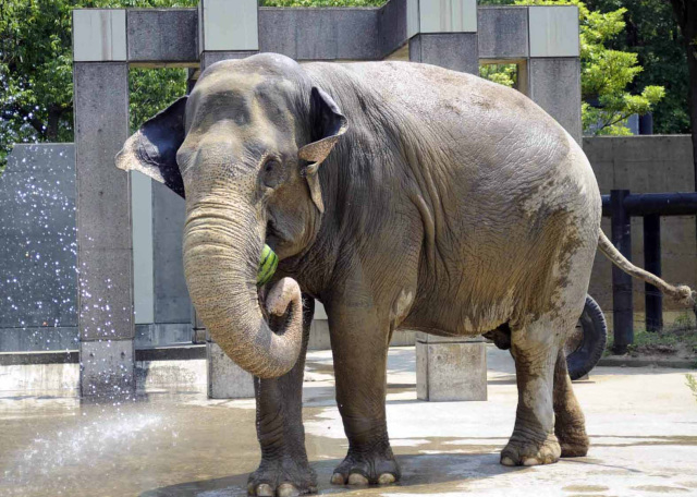 いしかわ動物園