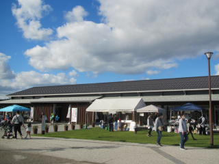 昨年度のイベントの風景