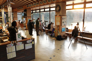 加賀市鴨池観察館（館内）