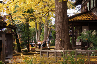 深田久弥山の文化館（紅葉時期）