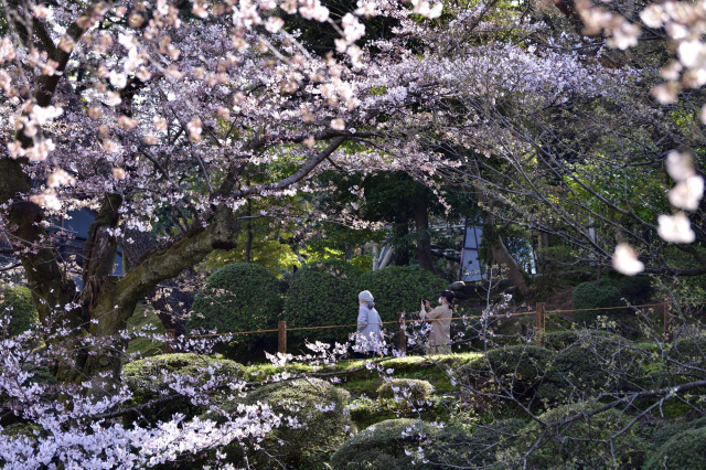 春の石川旅