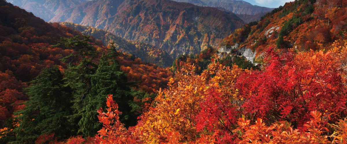 石川県の紅葉の名所8エリア！